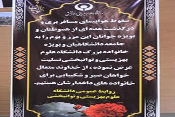 یادبود کشته شدگان سانحه هوایی اکراین